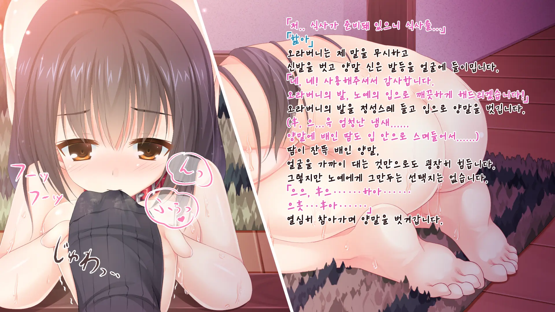 Gyakutaiyou Seidorei No Imouto.